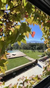 Casas do Pinheiro Grande - Vista dalla camera