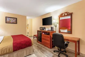 Econo Lodge Inn & Suites Santa Rosa - Chambre