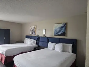 Hamilton Inn Birmingham-Bessemer - Chambre