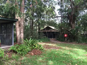 Byron Bay Rainforest Resort - Habitación