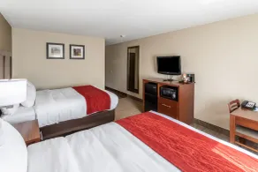 Comfort Inn Waukesha - Milwaukee West - Chambre