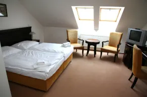 Hotel U Zeleneho stromu - Quarto