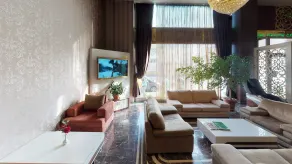 Green Prusa Hotel - Reception