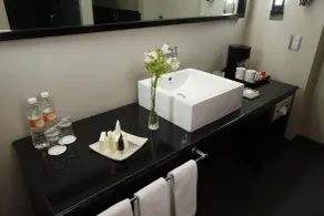 Crowne Plaza Toluca - Lancaster by IHG - Badezimmer