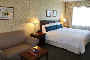 The Village Inn - Chambre
