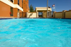 Holiday Inn Express Hotel & Suites Dallas Fort Worth Airport South by IHG - Pool