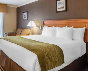 Comfort Inn - Chambre