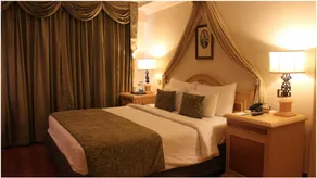 Park Plaza, Ludhiana - Room