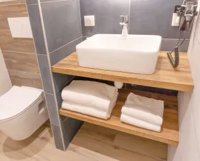 Le Lodge Ondres - Salle de bain
