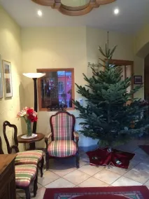 Hotel Theresia Garni - Lobby