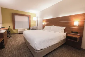 Holiday Inn Express Hotel & Suites East Lansing by IHG - Chambre