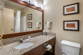 Comfort Inn Moline - Quad Cities - Badezimmer