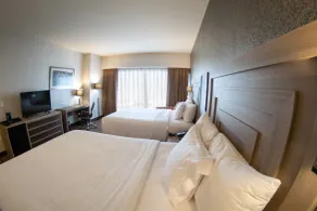 Hilton Garden Inn Leon - Chambre