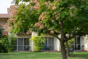 Pastoral Hotel - Kfar Blum - Chambre