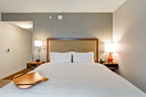 Hampton Inn & Suites Detroit/Troy - Chambre