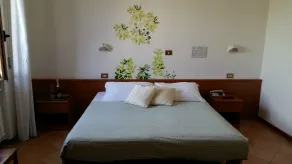 Eco-Hotel Edy - Chambre