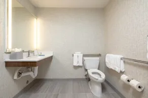 Holiday Inn Express & Suites - San Jose Silicon Valley by IHG - Bathroom