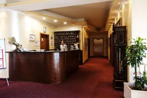 Hotel Vivas - Réception
