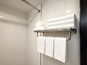 Imperial Hotel Brooklyn New - Baño