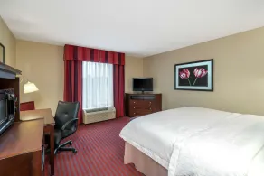 Hampton Inn Richmond Airport - Chambre
