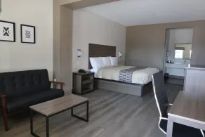 Hotel Royale - Houston Hobby Airport - Chambre