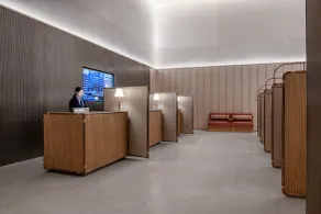 Intercity Shenzhen Futian Huanggang - Rezeption