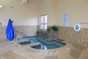Holiday Inn Madison at The American Center by IHG - Piscine