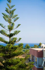 ABC Apart Hotel - View from room