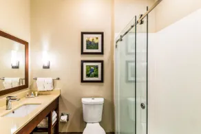 Comfort Suites Grand Prairie - Arlington North - Salle de bain