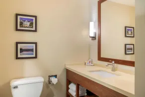 Comfort Inn & Suites Schenectady - Scotia - Salle de bain