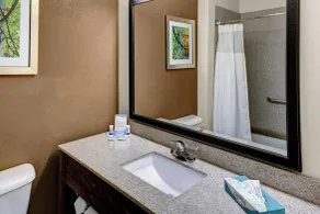Fairfield Inn by Marriott Dothan - Badeværelse