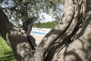 Masseria Gravelle - Pool