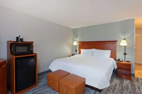 Hampton Inn & Suites Clovis-Airport North - Chambre