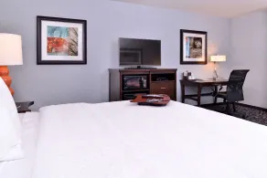 Hampton Inn Potsdam, NY - Værelse