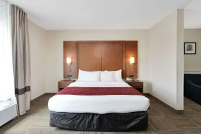 Comfort Suites University - Chambre