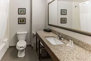 Comfort Suites Salisbury I-85 - Salle de bain