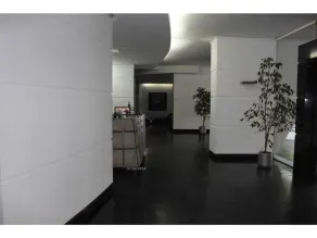 Costanera Suites Nueva de Lyon - Lobby