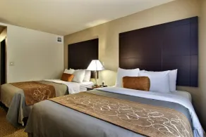 Comfort Suites Albuquerque-North Journal Center - Chambre