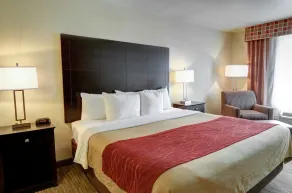 Comfort Inn & Suites Amarillo West Near Medical Center - Chambre
