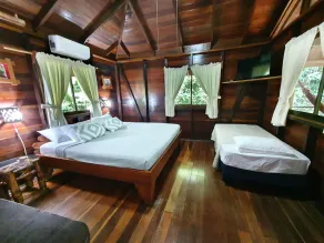 Cariblue Beach and Jungle Resort - Room