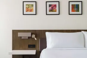 Hilton Garden Inn Lake Mary - Chambre