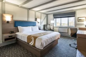 Quality Inn Waddling Dog - Room