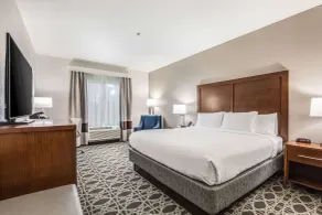 Comfort Inn & Suites Brevard - Camera
