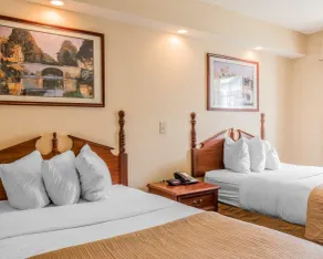 Rodeway Inn Sylacauga Hwy 280 - Værelse