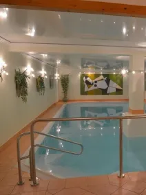 Parkhotel zum Stern - Piscina