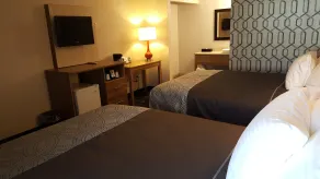 AArtpark Hotel Inn at Lewsiton - Værelse