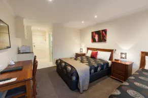 Addison Motor Inn - Room