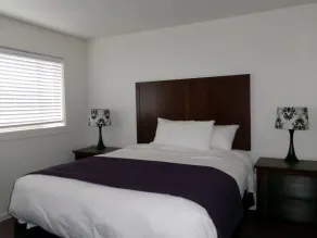 Seahorse Oceanfront Lodge - Chambre