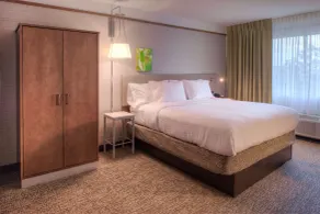 Hilton Garden Inn Detroit - Southfield, MI - Chambre