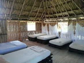 Moon Wind Tayrona Hostel - Room